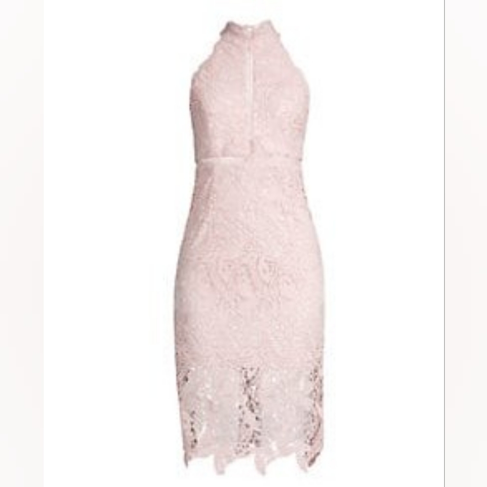 Bardot Willow Floral Lace Dress In Soft Pink / size 10
